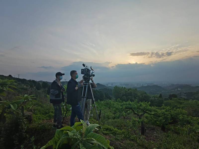 创意破圈！镜湖区电商产品宣传视频用故事化叙事引爆流量