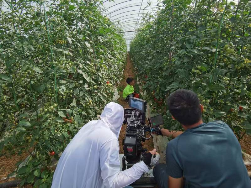 镜湖区产品宣传视频拍摄公司进阶指南，助力品牌抢占传播高地